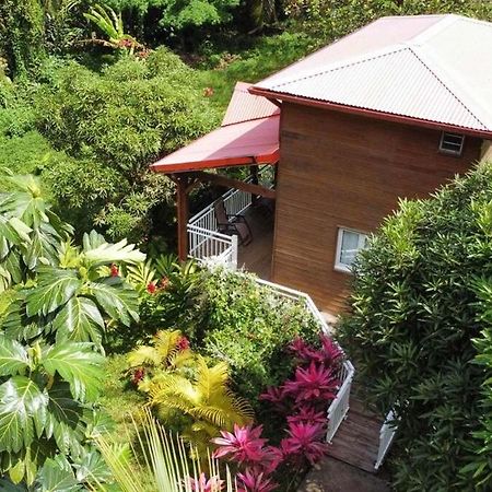 Mahogany Lodge - Oasis Cosy Riviere-Pilote Luaran gambar