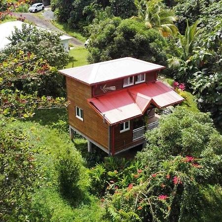 Mahogany Lodge - Oasis Cosy Riviere-Pilote Luaran gambar