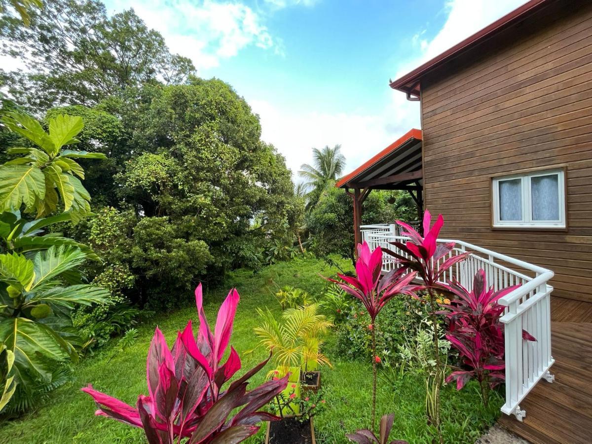 Mahogany Lodge - Oasis Cosy Riviere-Pilote Luaran gambar