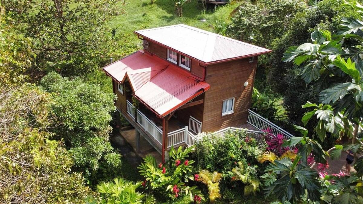 Mahogany Lodge - Oasis Cosy Riviere-Pilote Luaran gambar
