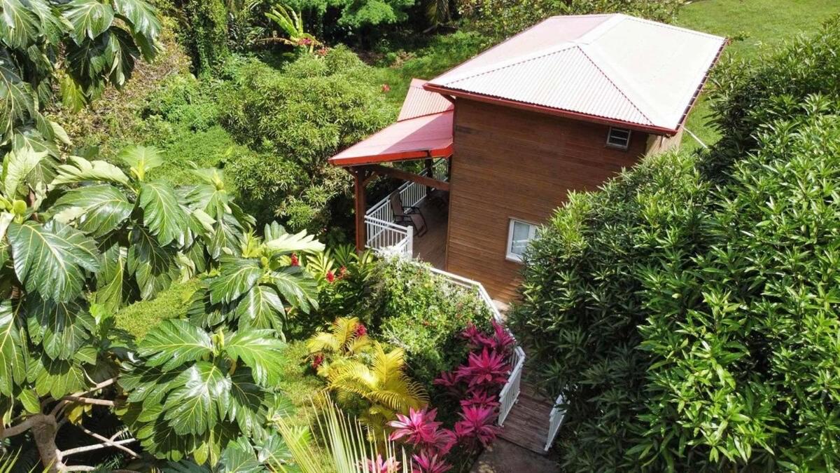 Mahogany Lodge - Oasis Cosy Riviere-Pilote Luaran gambar
