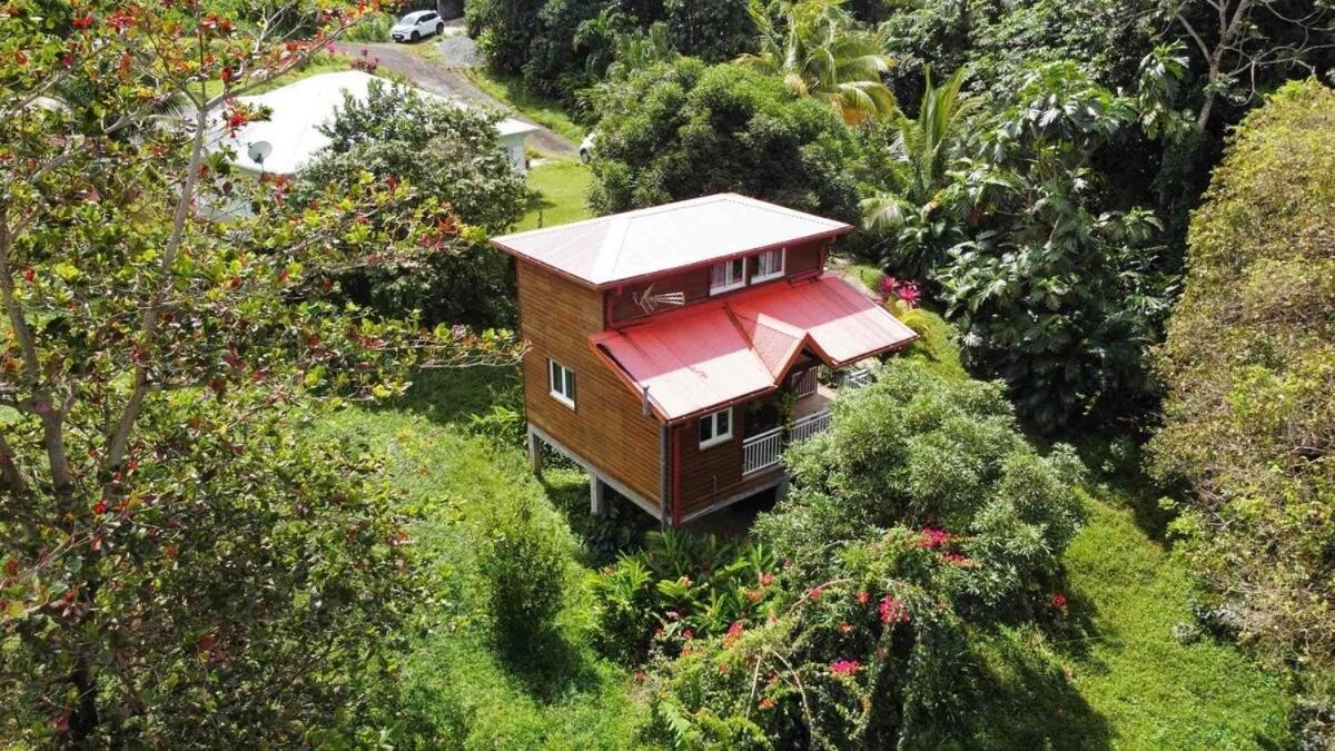 Mahogany Lodge - Oasis Cosy Riviere-Pilote Luaran gambar